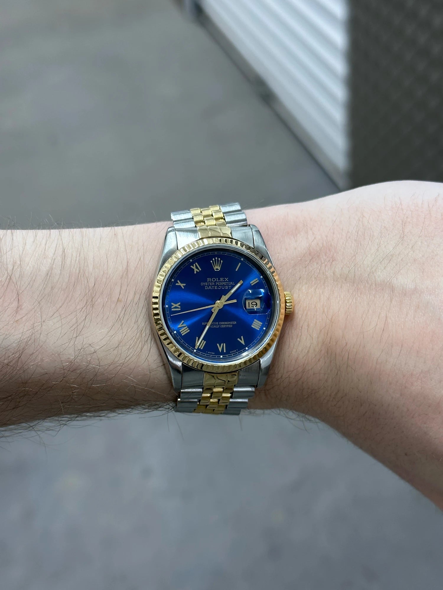 Two tone sales oyster perpetual datejust